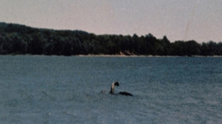 Deși este cel mai cunoscut, Nessie nu este totuși singurul monstru. În folclorul american, „Champ” sau „Champy” este porecla dată unui monstru care ar trăi în lacul Champlain, lac cu apă dulce și o întindere de 125 de mile între New York și Vermont, o parte din lac extinzându-se până în Quebec, Canada