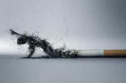 ,`titlu`,